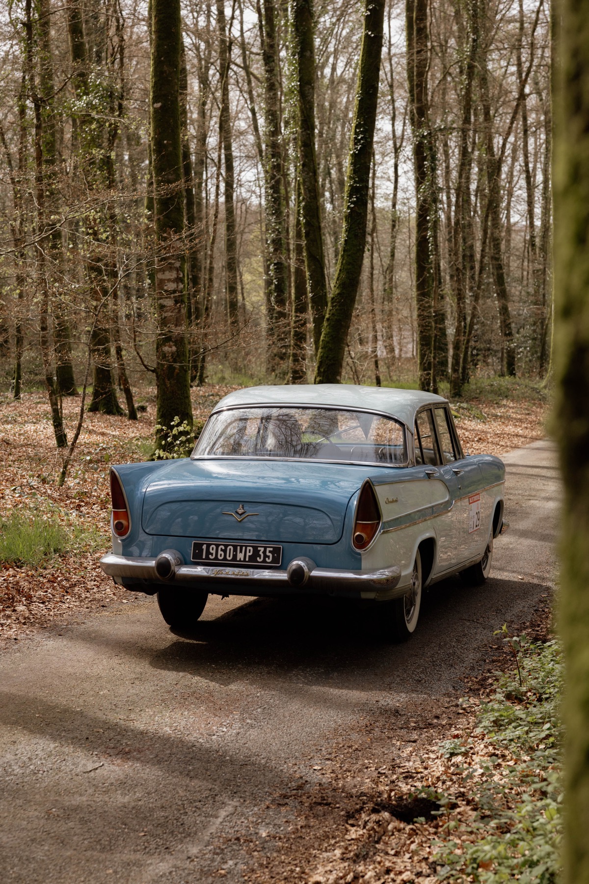 Voiture ancienne sur une route forestière