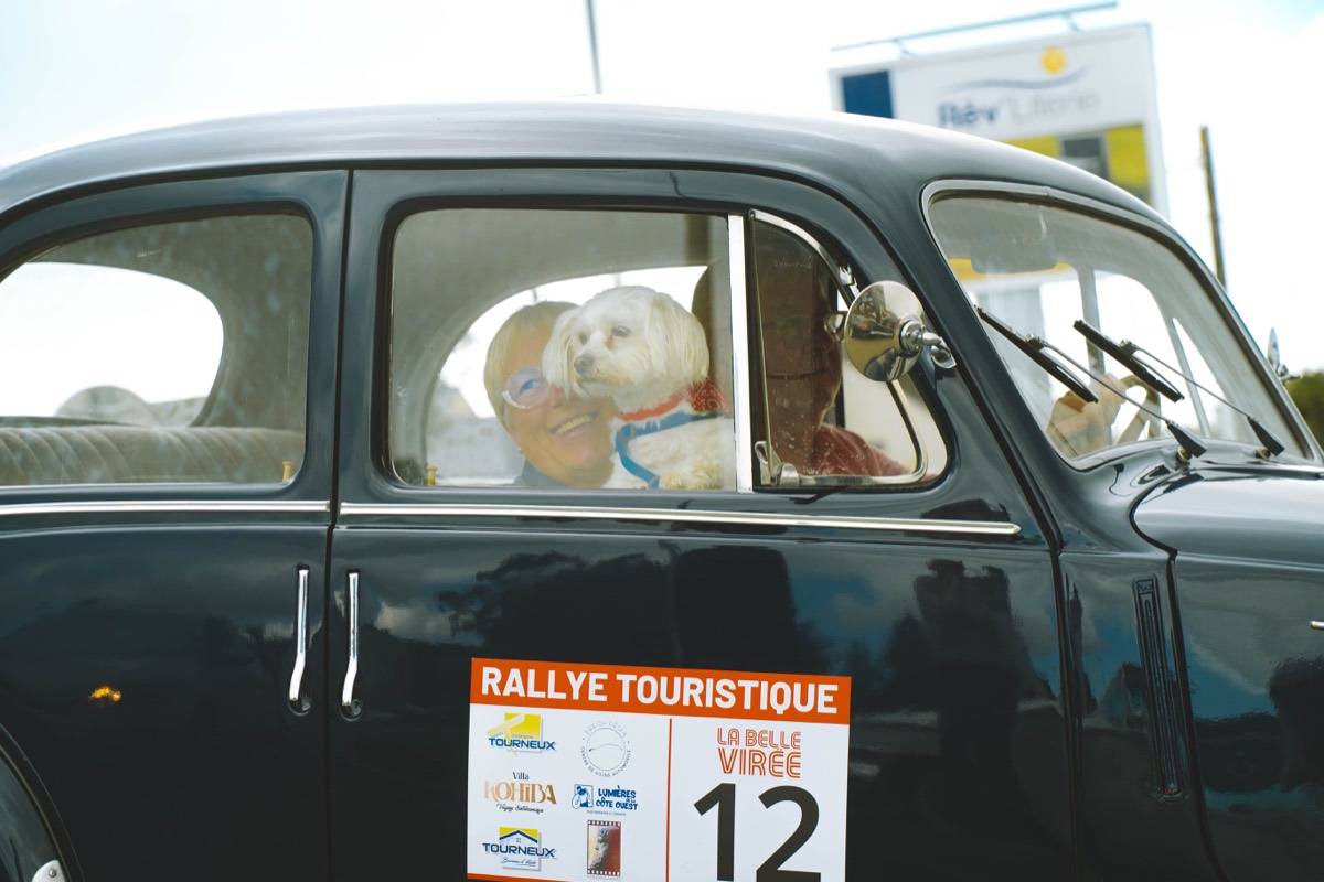Compagnon à quatre pattes installé dans une voiture ancienne