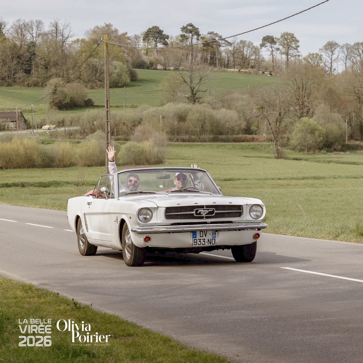 Mustang blanche sur une route de campagne